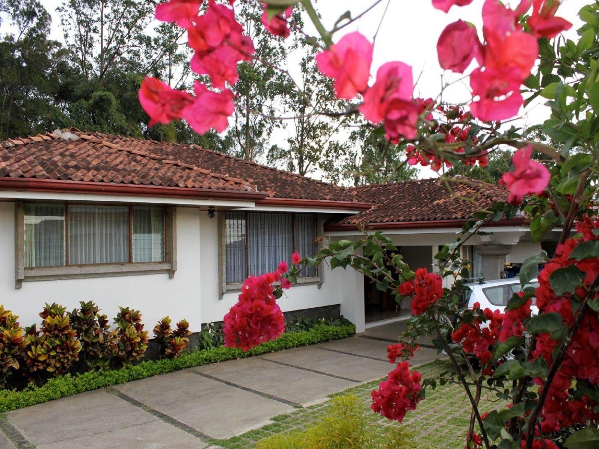 Terrazas De Golf Boutique Hotel San Jose  Exterior photo